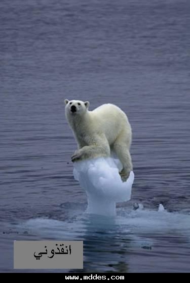 dob f warta hhhhhhhhhh